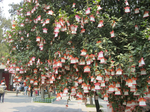 Guanlin Temple Wishing Tree